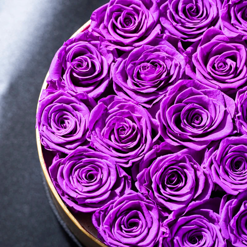 IMPERIAL MINIMALISM - ETERNAL ROSES BOX