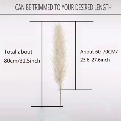 Natural Dried Pampas Grass Stems