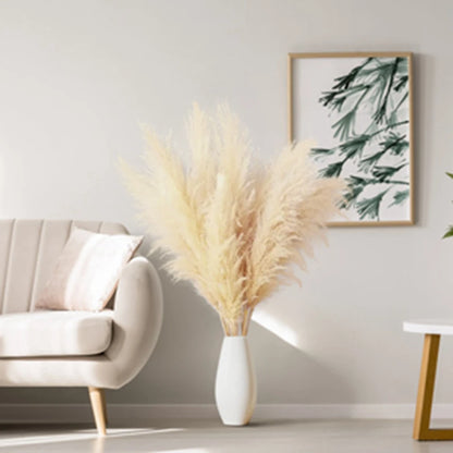 Natural Dried Pampas Grass Stems