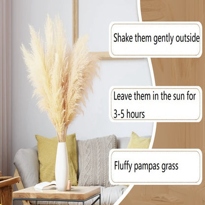 Natural Dried Pampas Grass Stems