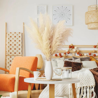 Natural Dried Pampas Grass Stems