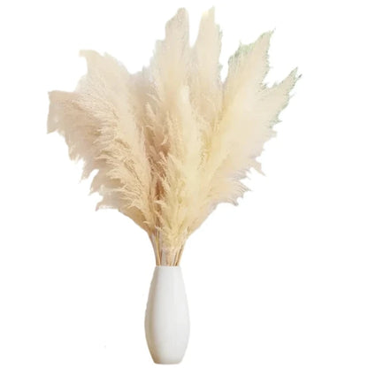 Natural Dried Pampas Grass Stems