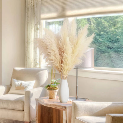 Natural Dried Pampas Grass Stems