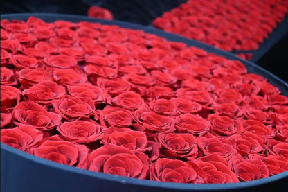 Preserved Eternal Roses Gift Box