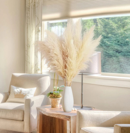 Natural Dried Pampas Grass Stems