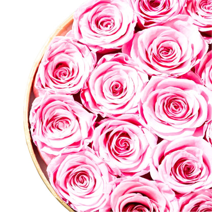 FEROYAL Imperial Minimalism - Eternal Roses Box – Red Roses